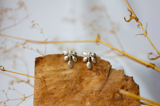 Andrea Mueller, Quintet Stud