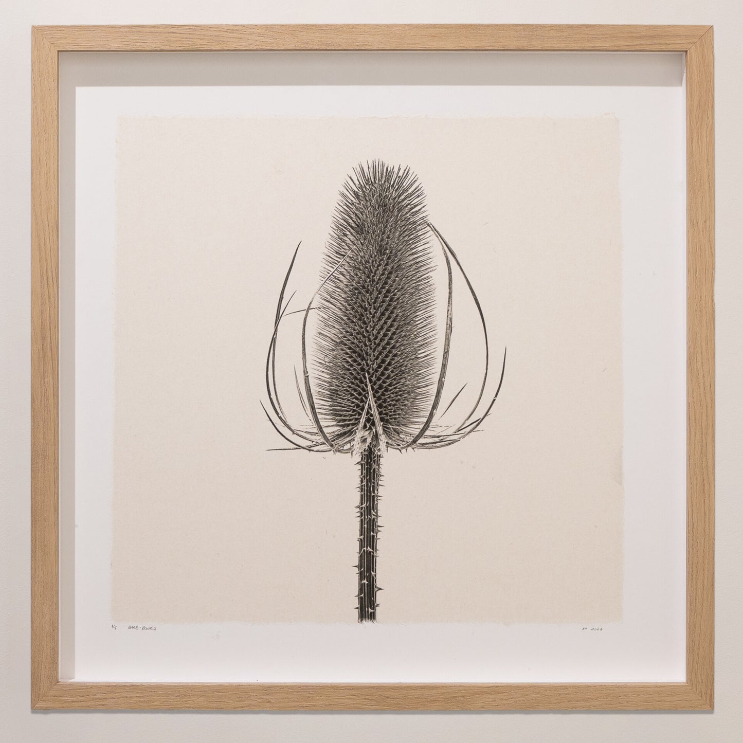 Kelly McDonald, Bare Bones