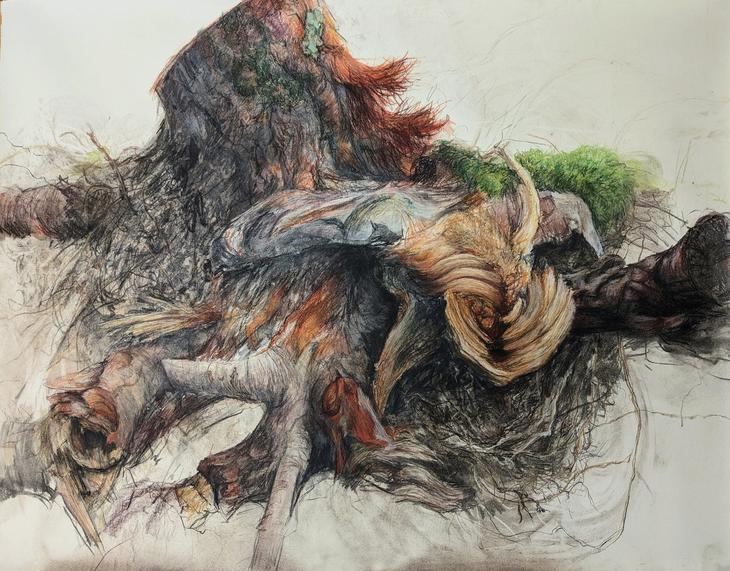 Gabrielle Madore, Chopped Stump on Ennis Road