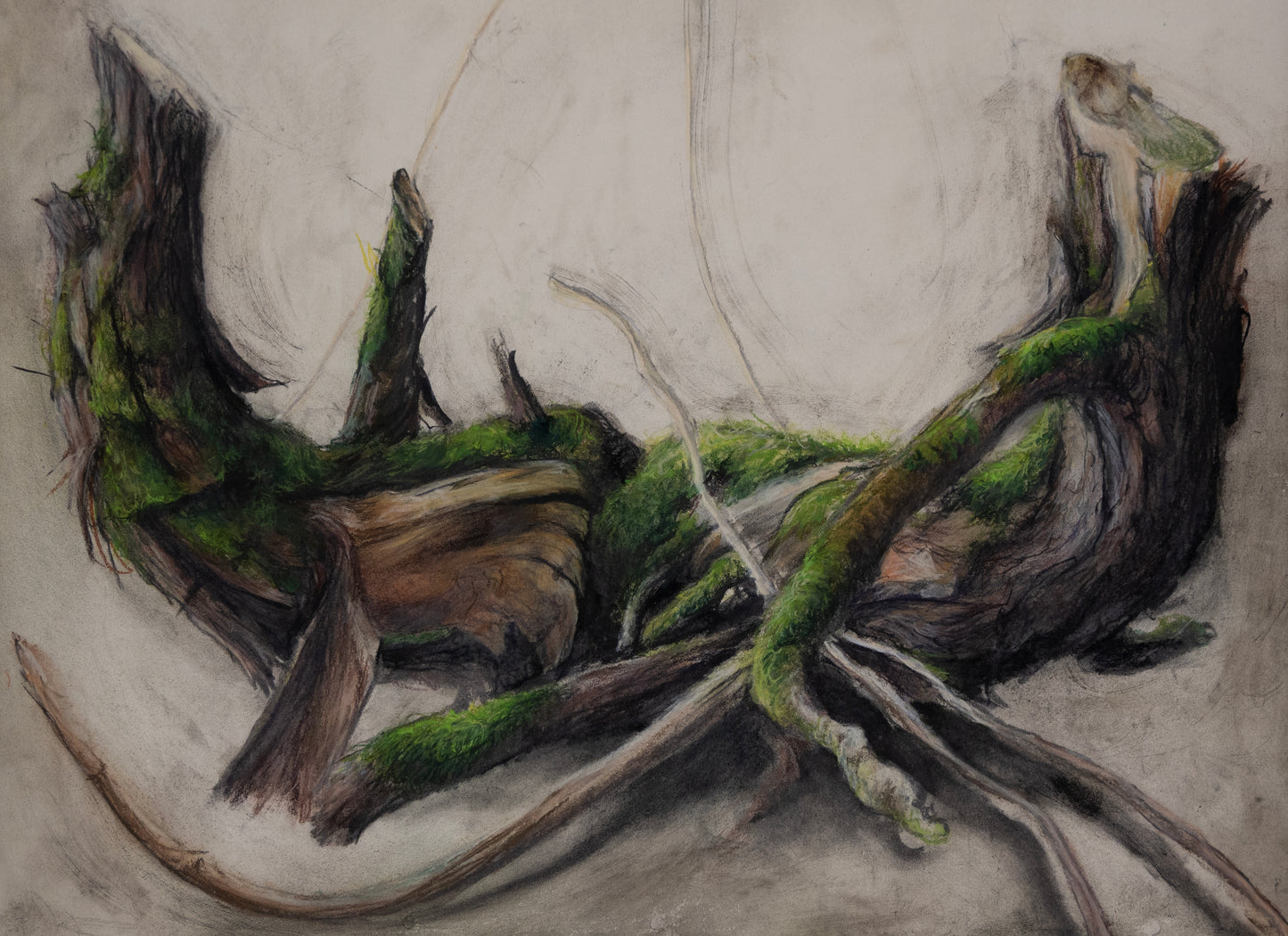 Gabrielle Madore, Twin Stumps, Ennis Road