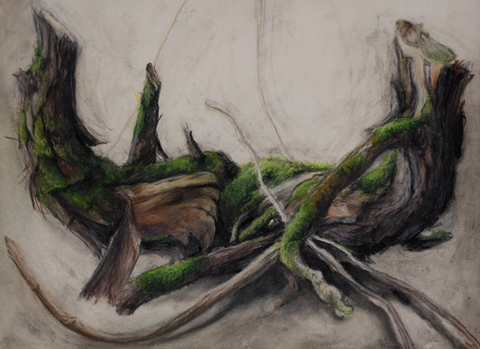 Gabrielle Madore, Twin Stumps, Ennis Road