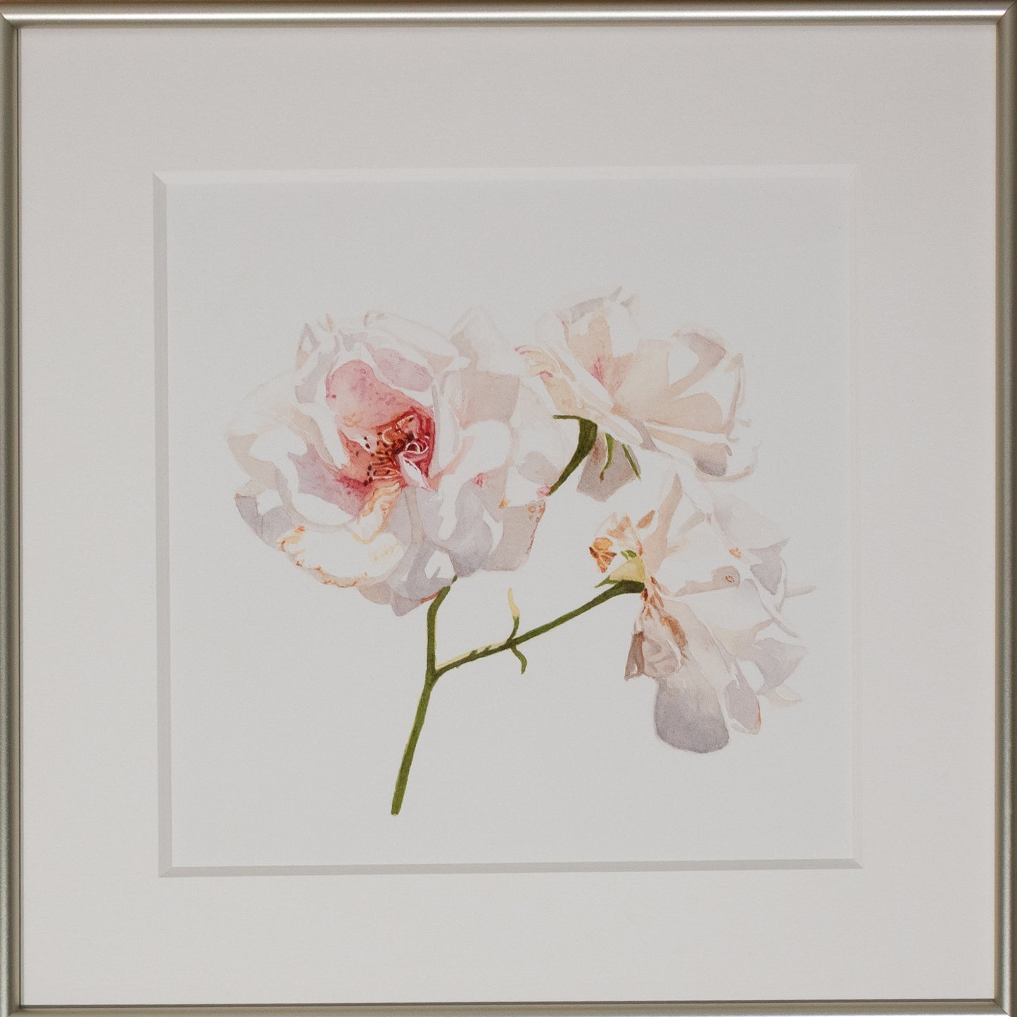 Brigitte Klassen, La beauté au naturel