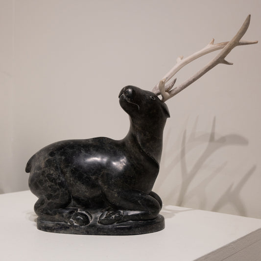 Unidentified Artist, Antler