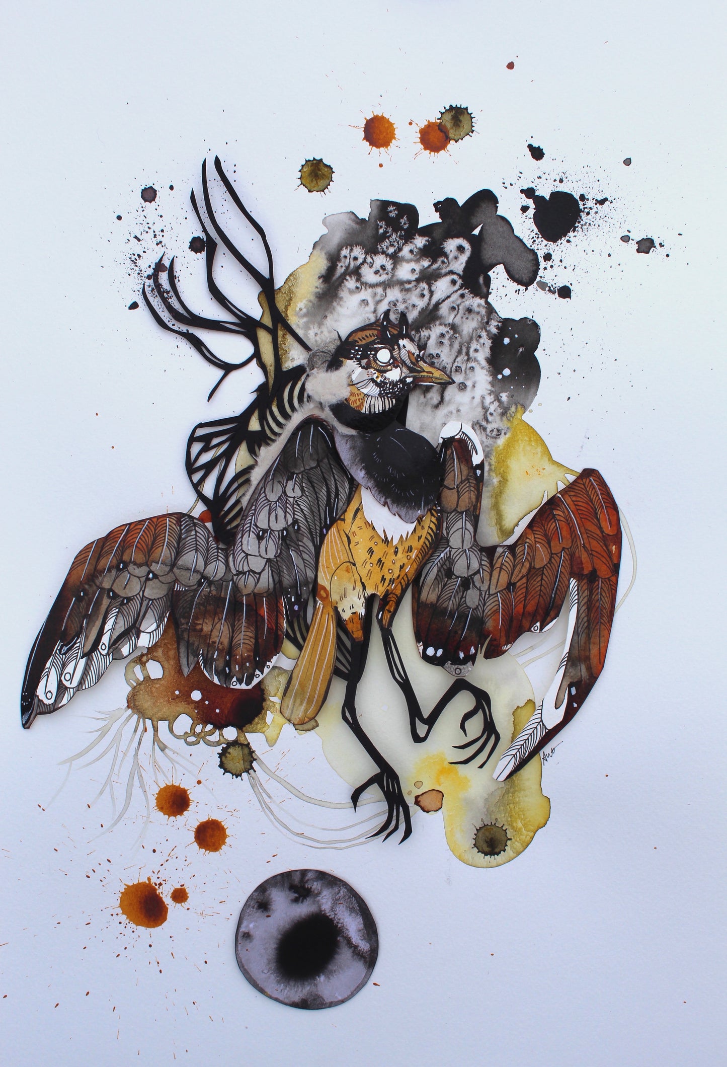 Ariane Beauchamp, Eye of the Beholder