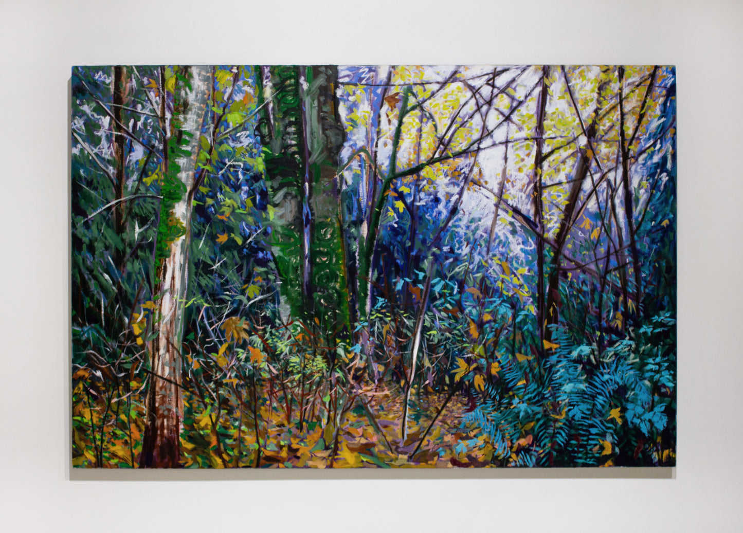 Stephanie Taylor, Forest Visions X