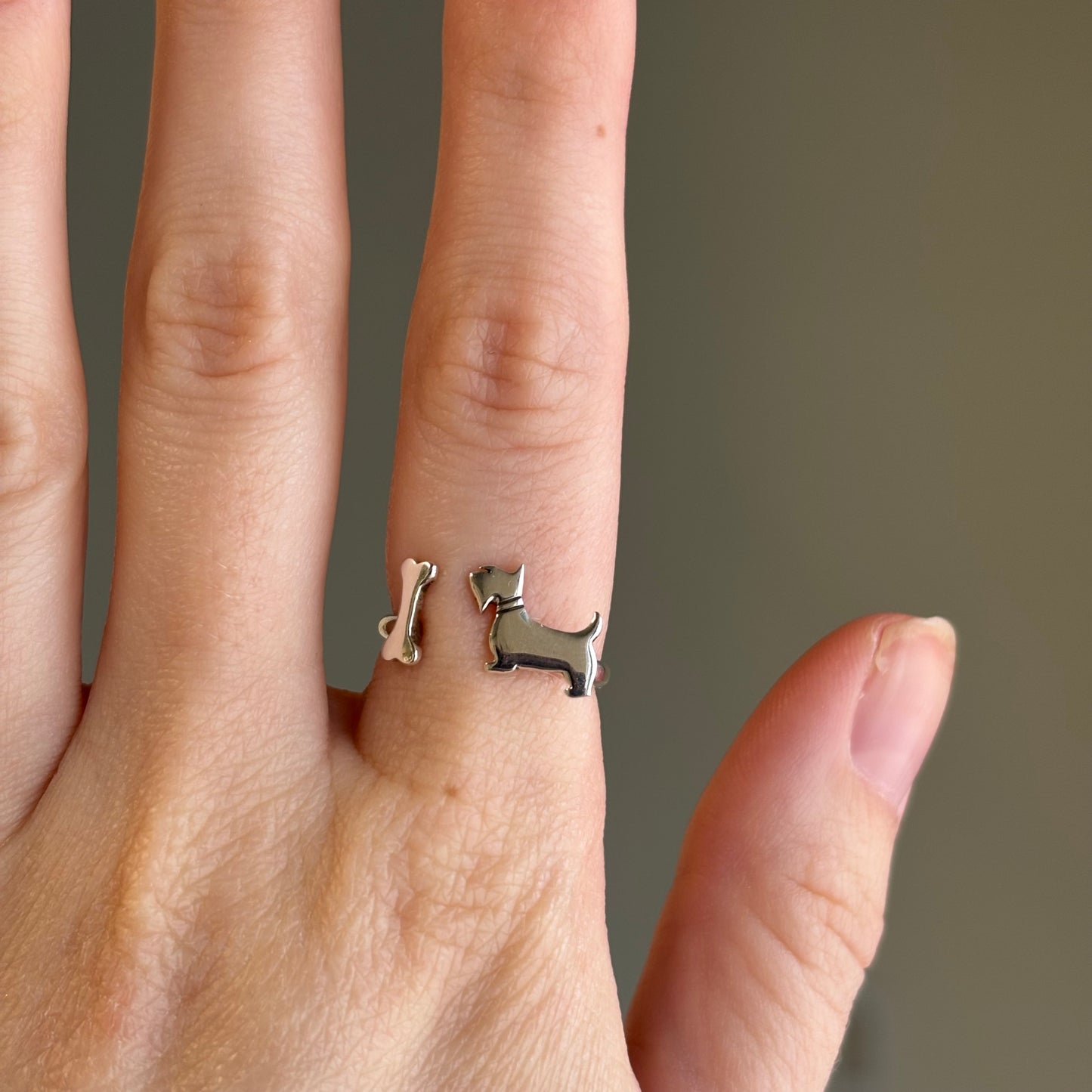 Alexandra Temple, Dog Ring