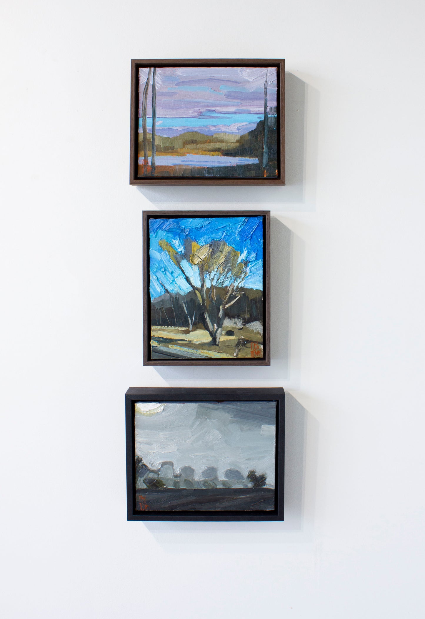 Stewart Jones, DUNES VIEW