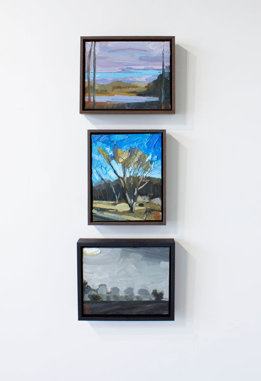 Stewart Jones, ROADSIDE TREE _PEC