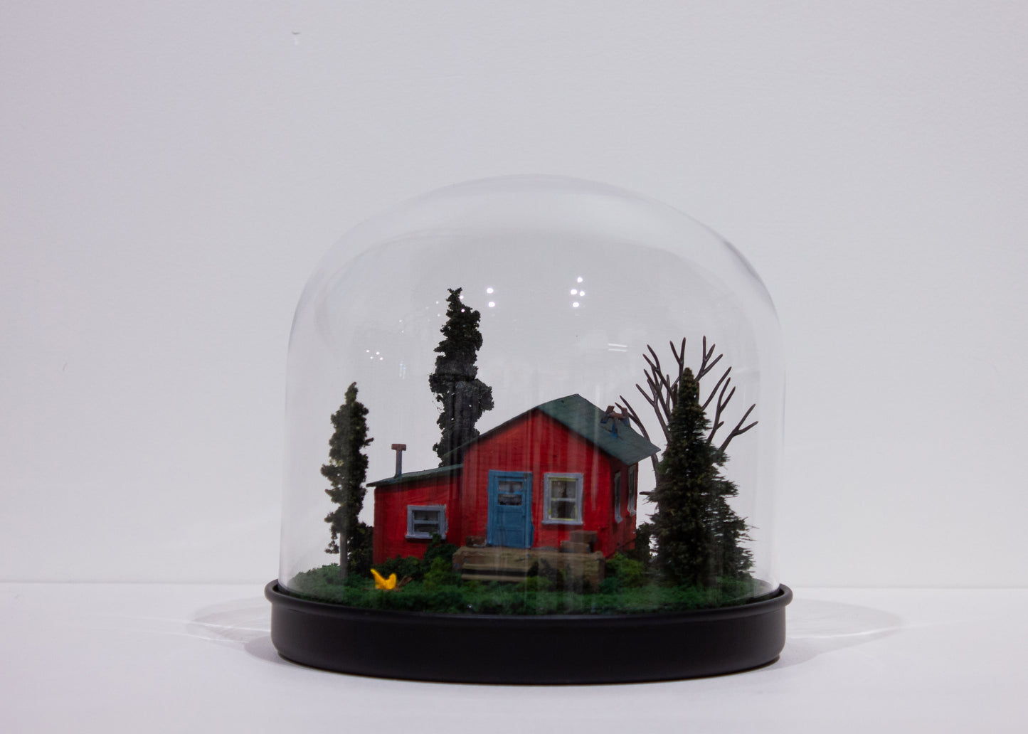 Patti Normand, Shelter