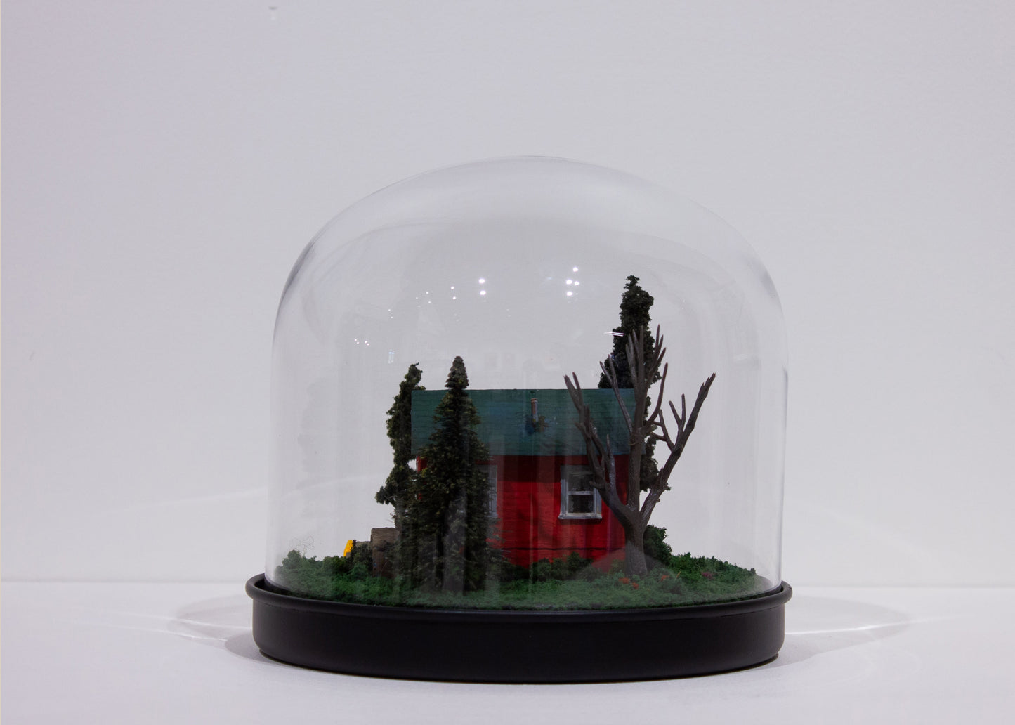 Patti Normand, Shelter