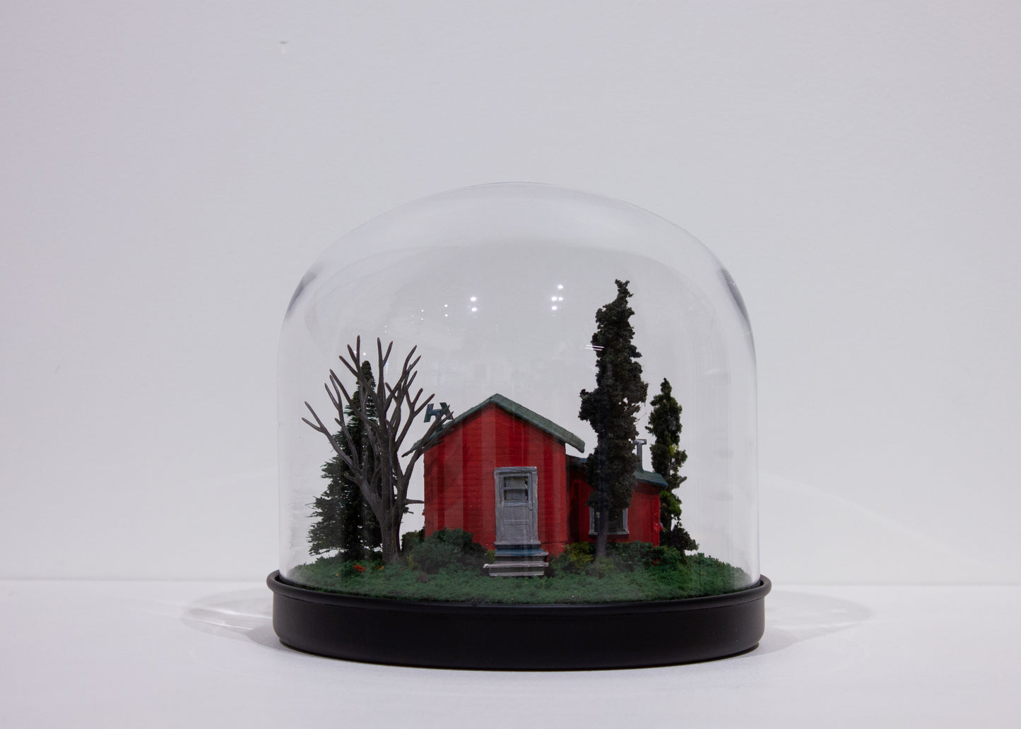 Patti Normand, Shelter