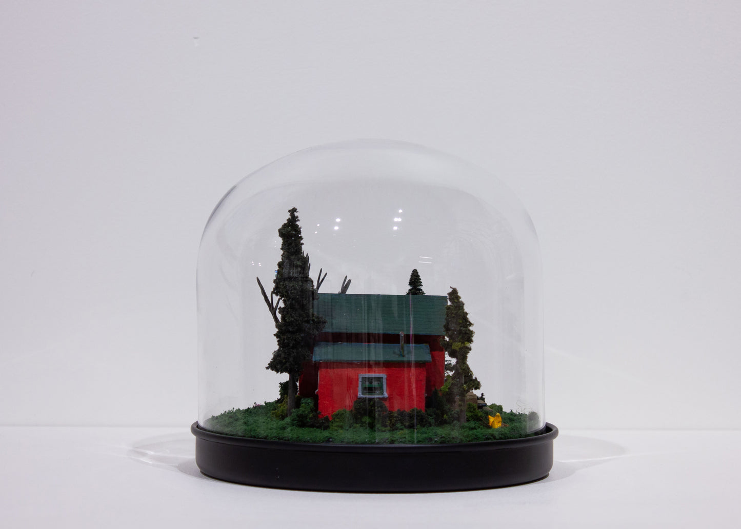 Patti Normand, Shelter