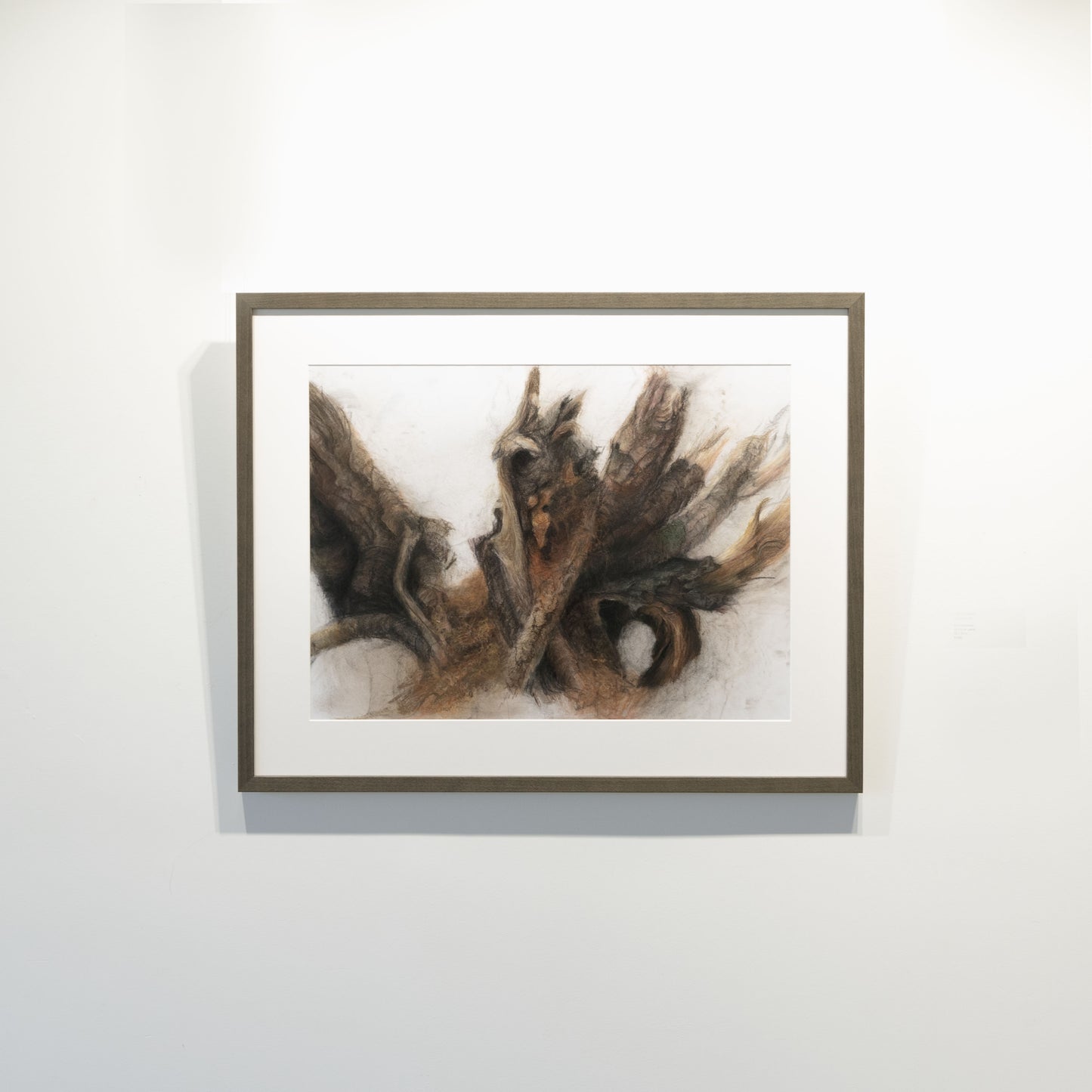 Gabrielle Madore, Rotting Wood, Bells Corners Greenbelt