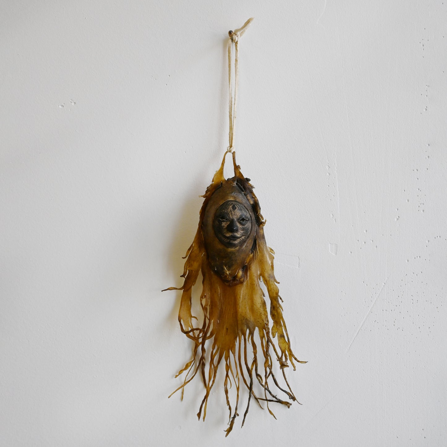 Shaper, Untitled