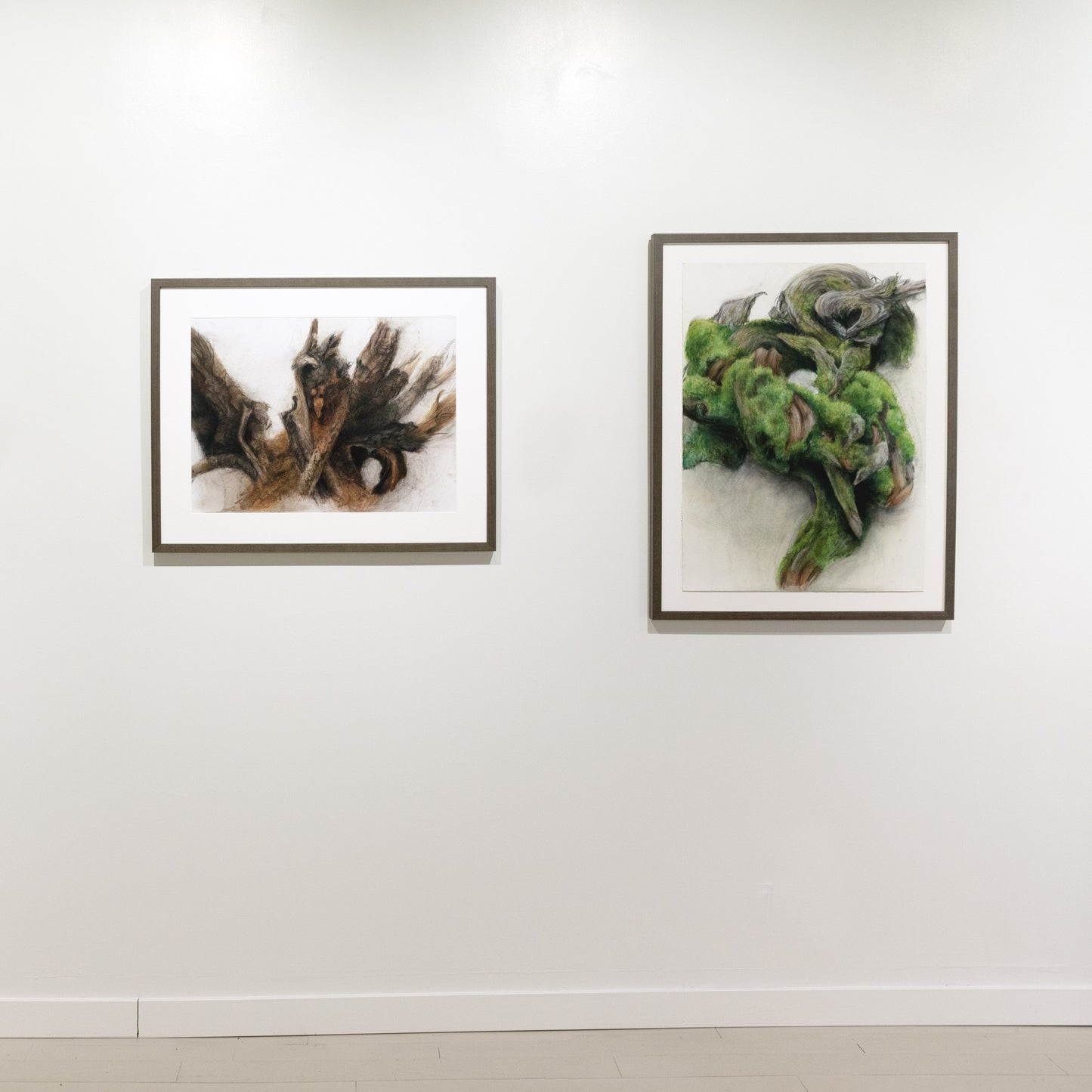 Gabrielle Madore, Rotting Wood, Bells Corners Greenbelt