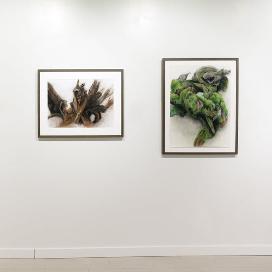 Gabrielle Madore, Rotting Wood, Bells Corners Greenbelt