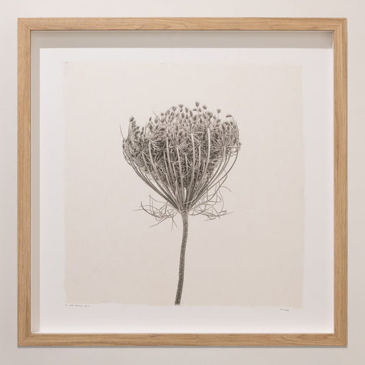 Kelly McDonald, What remains no.5