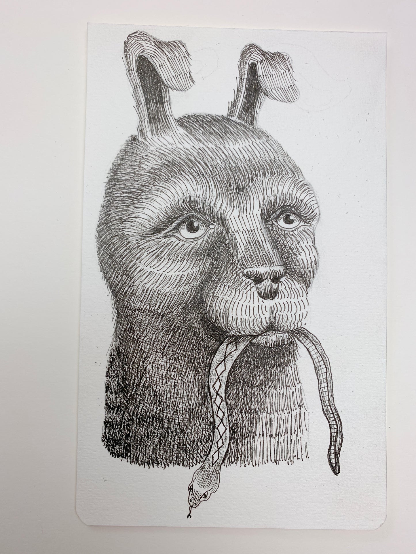 Drew Mosley, Untitled 17
