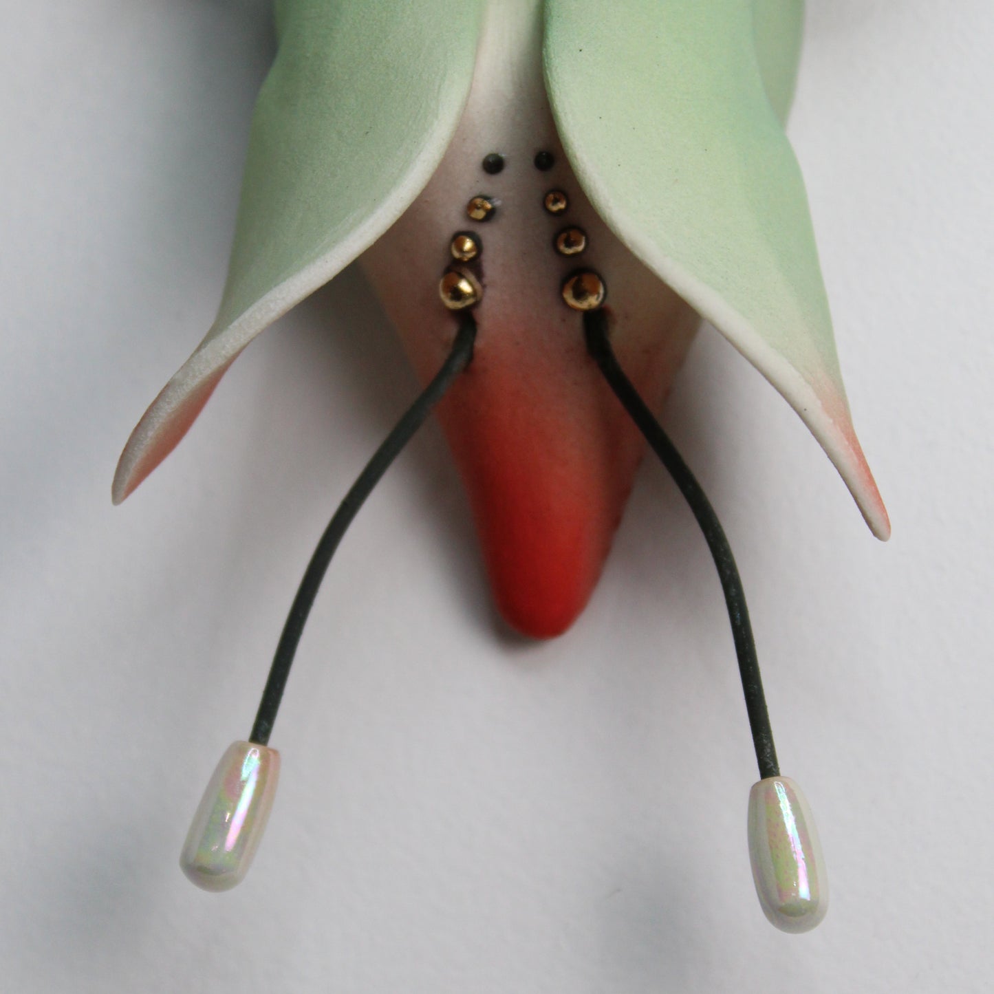 Dauma Stirbyte, Beetle 5