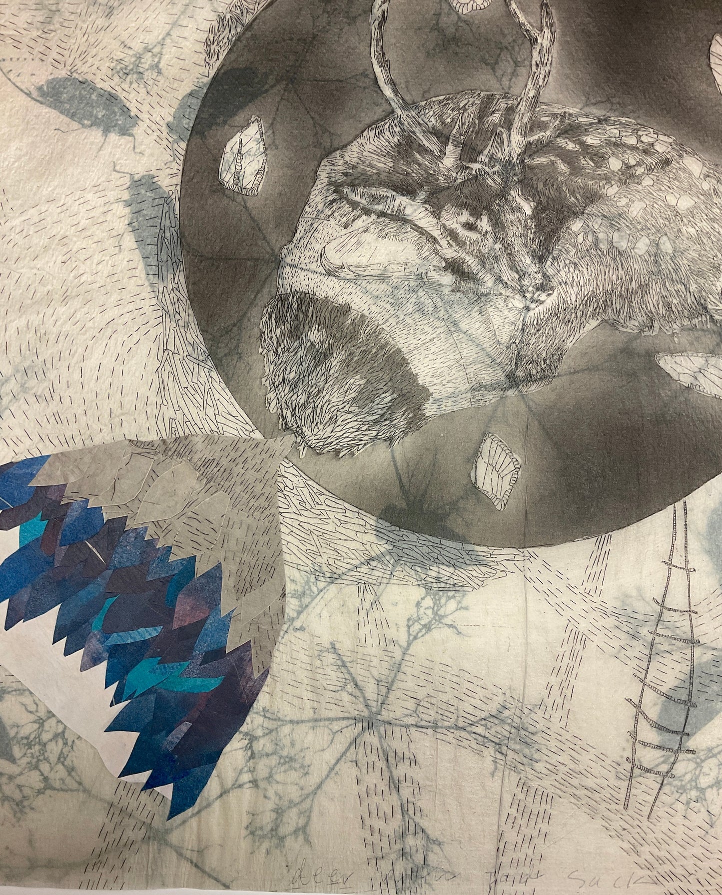 Elizabeth D'Agostino, Deer with Podsack I
