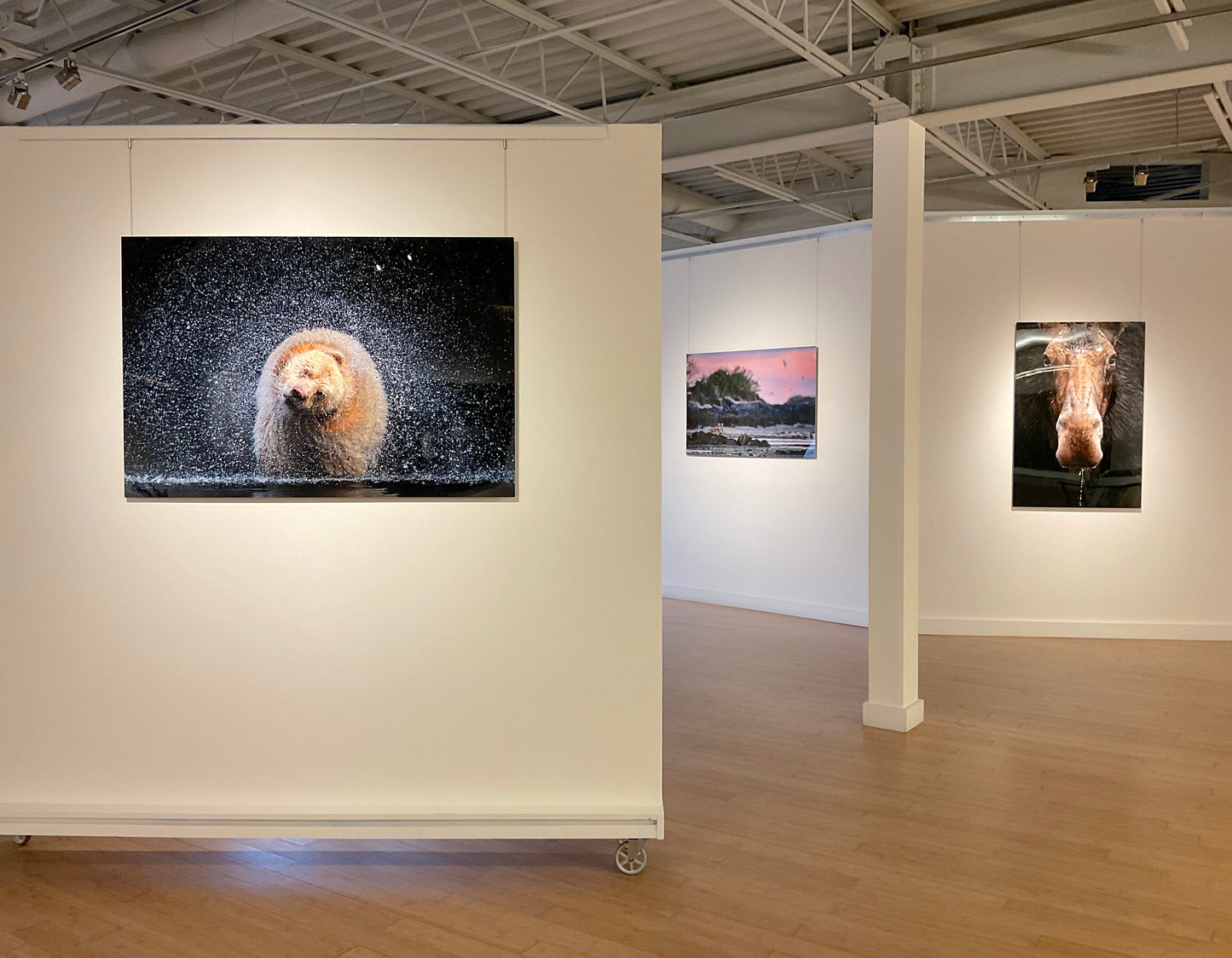 Michelle Valberg, "The Boss" Spirit Bear