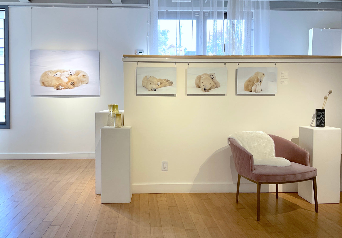 Michelle Valberg, Polar Bear Family I