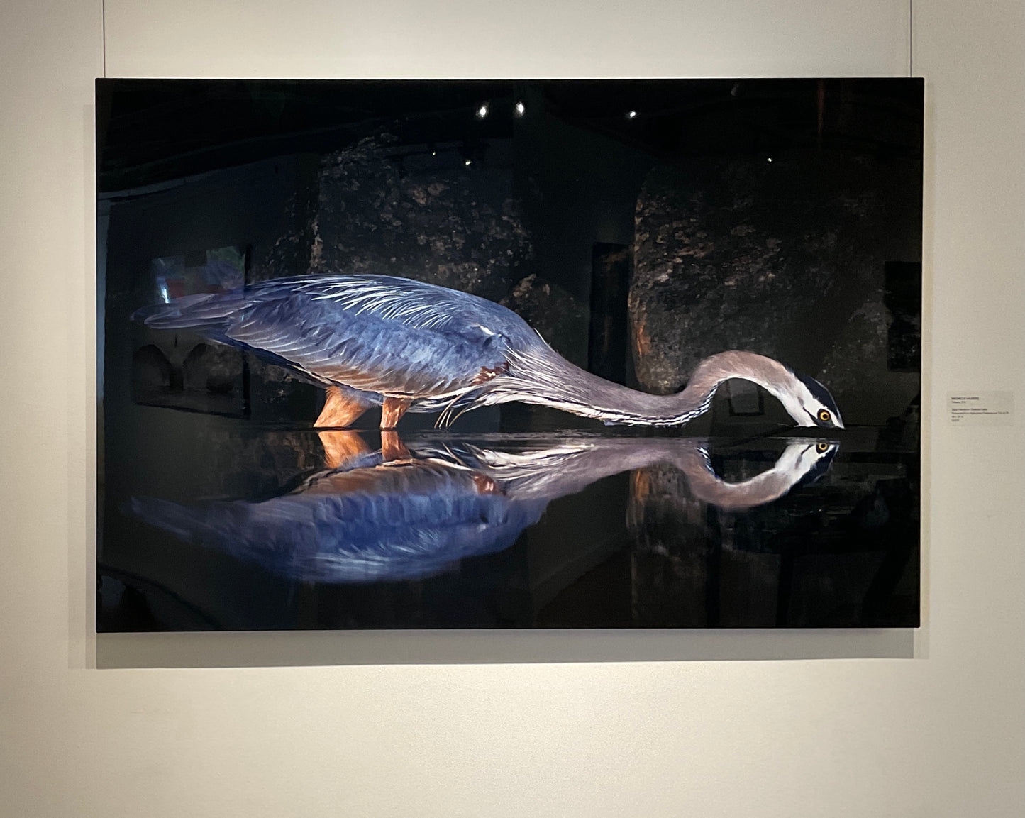 Michelle Valberg, Blue Heron on Sharbot Lake