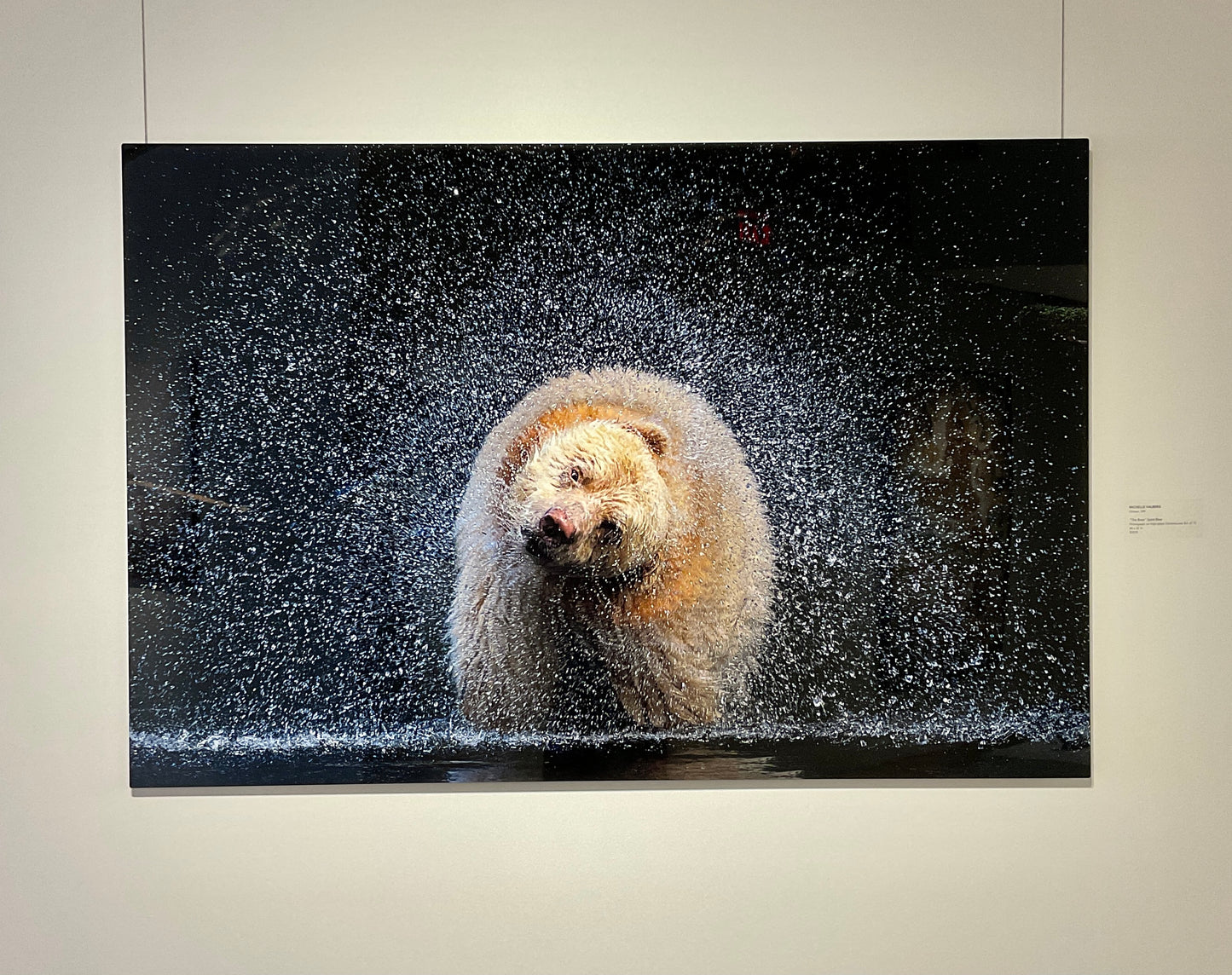Michelle Valberg, "The Boss" Spirit Bear