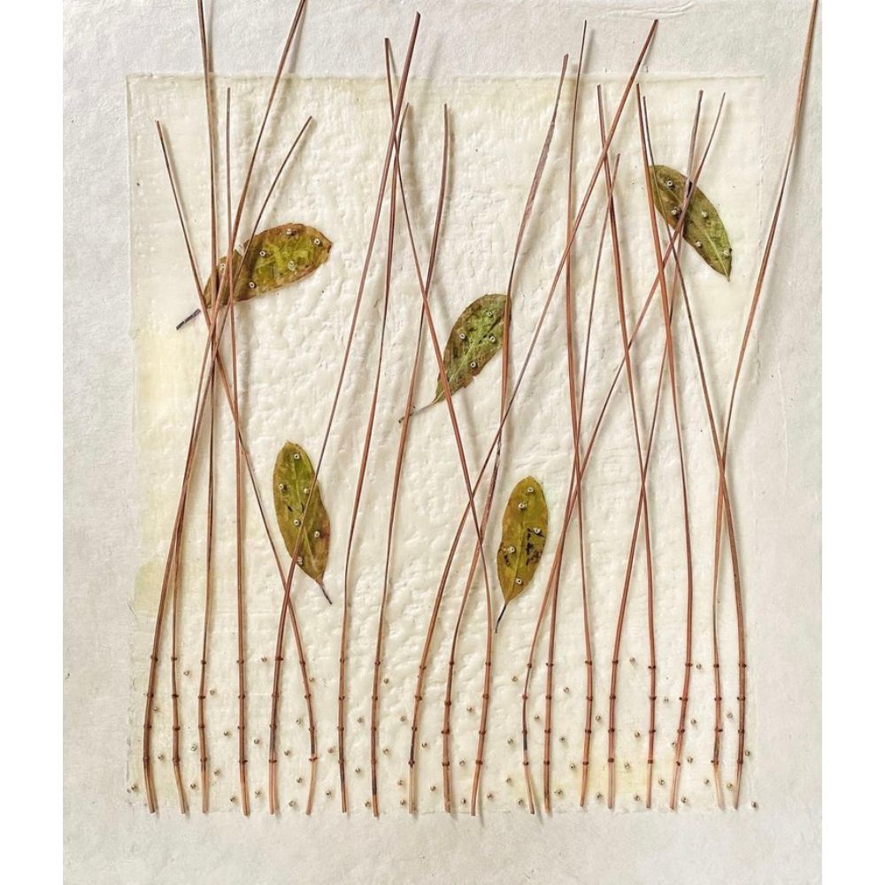 Ava Roth, Pine Needles and Tiny Leaves