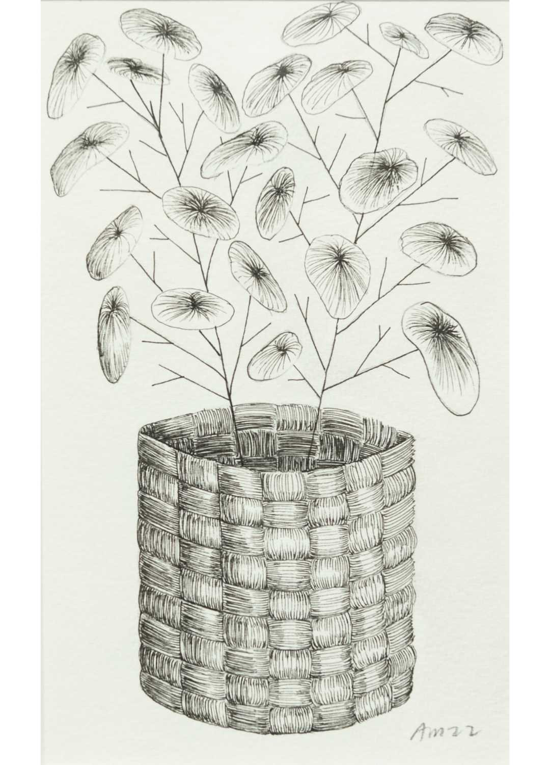 Drew Mosley, Untitled 38
