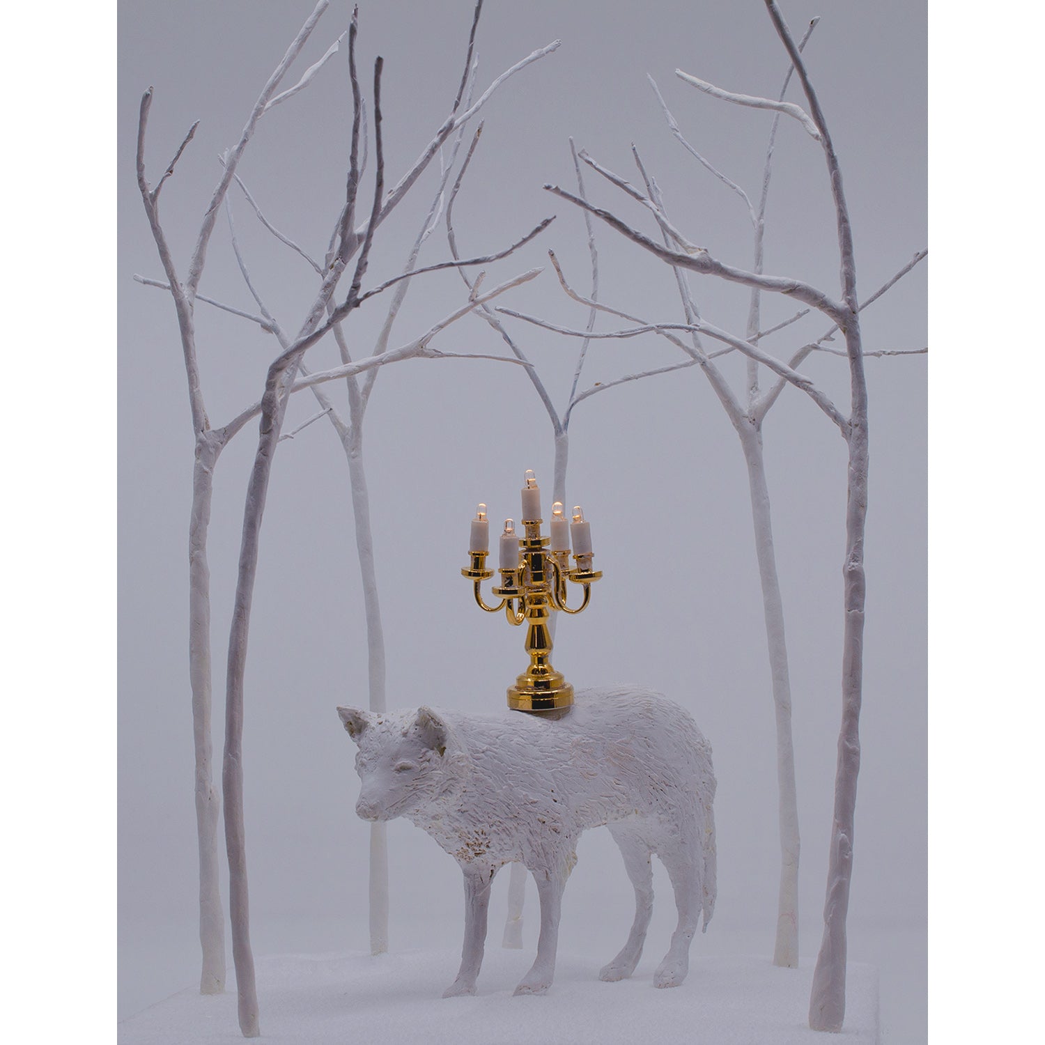 Patti Normand | New Works Feature | Nov 6 – 22