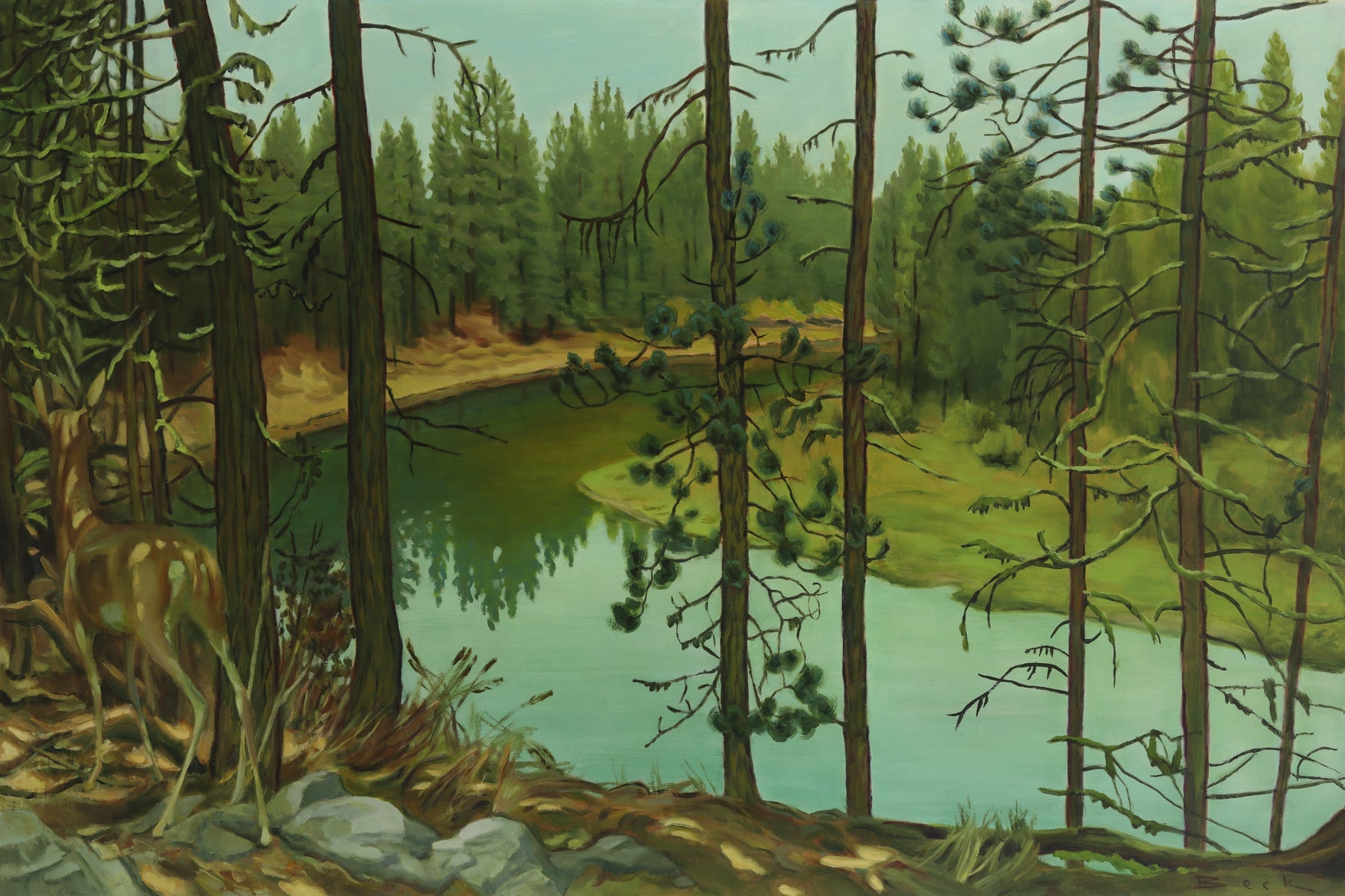 Andrew Beck | Into the Trees