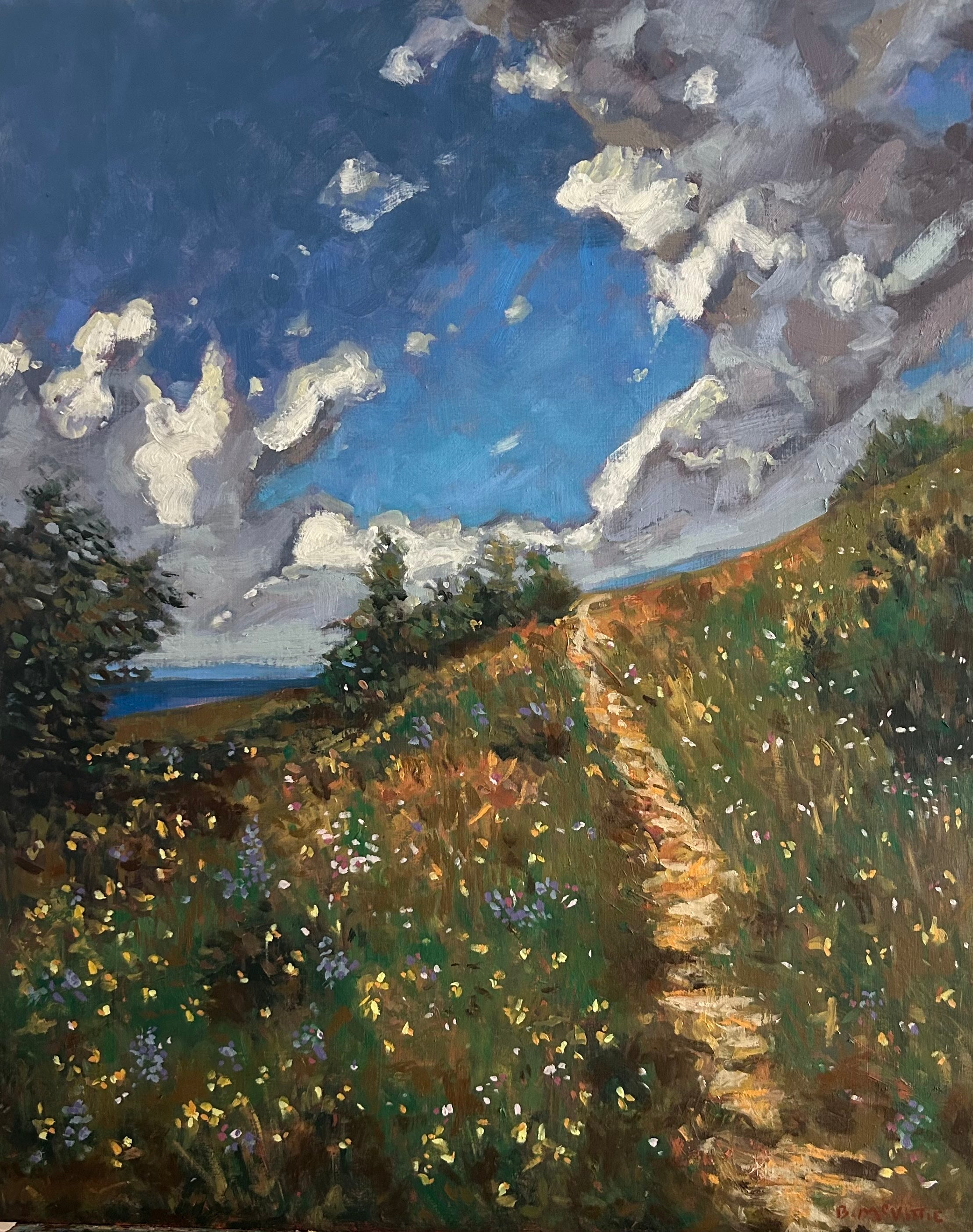 Brandon McVittie | An ARCHIVE of SKIES