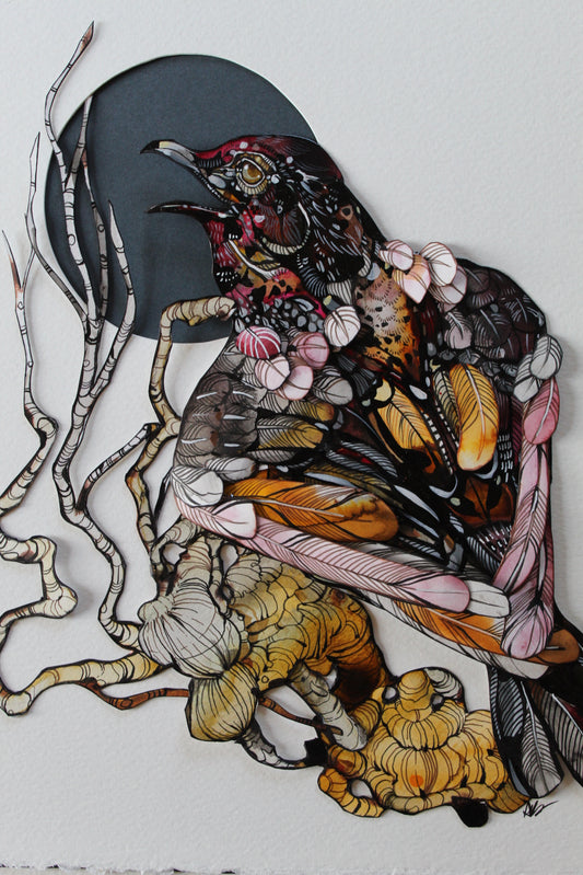 Ariane Beauchamp, Waning