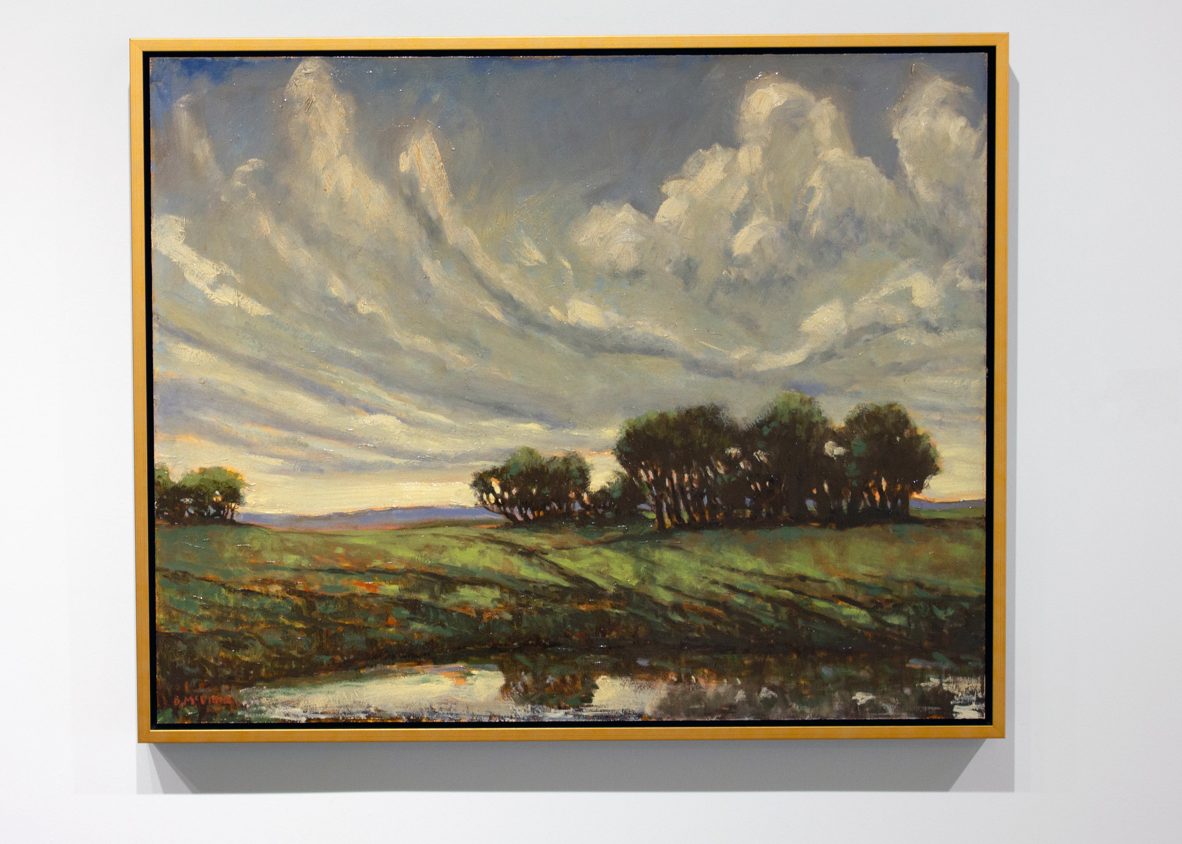 Brandon McVittie, Departed Rain-3