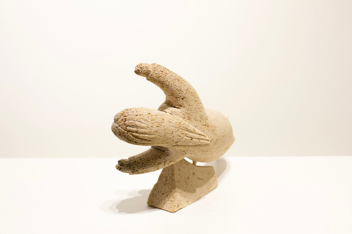 Peter Awa, Sedna