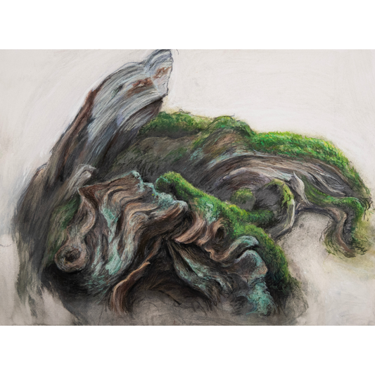 Gabrielle Madore, Wavy Wood, Blueberry Mountain Trail