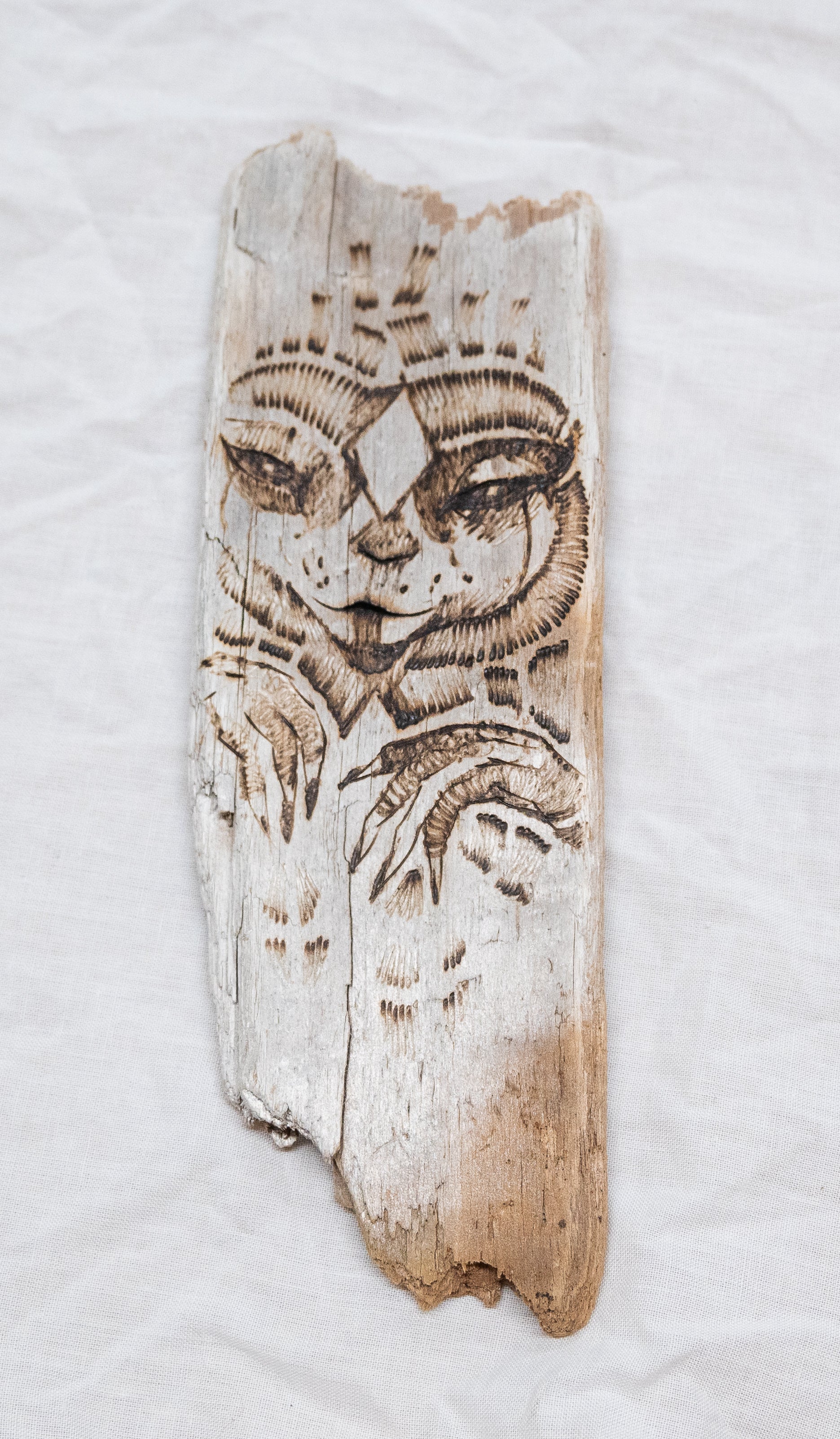 Shaper, Untitled