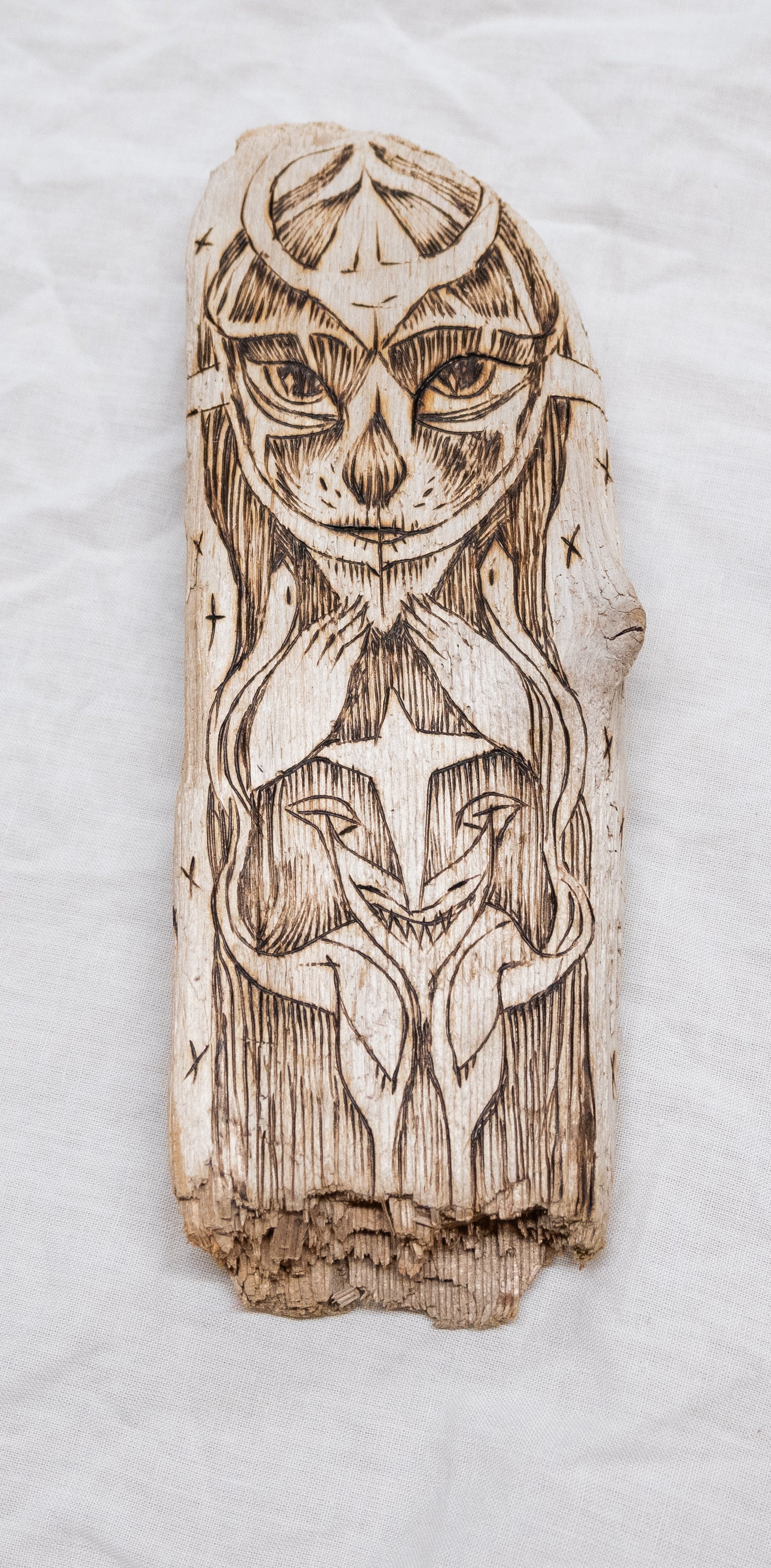 Shaper, Untitled