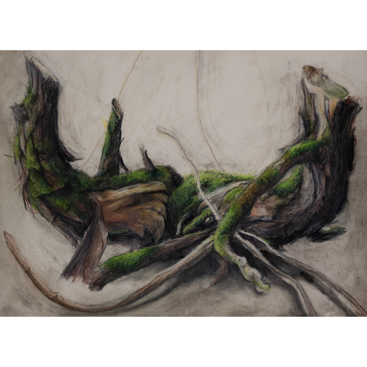 Gabrielle Madore, Twin Stumps, Ennis Road