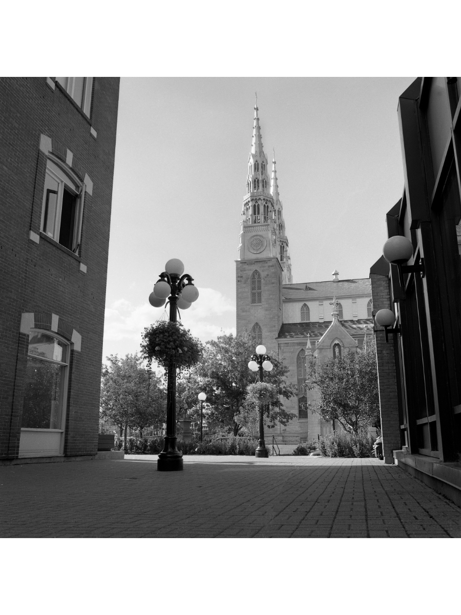 Jordan Craig, Basillica-1