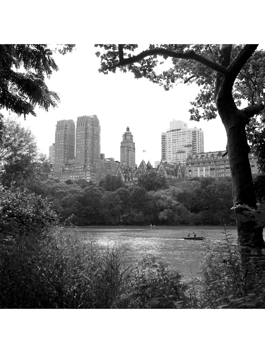 Jordan Craig, Buildings Through Trees-1