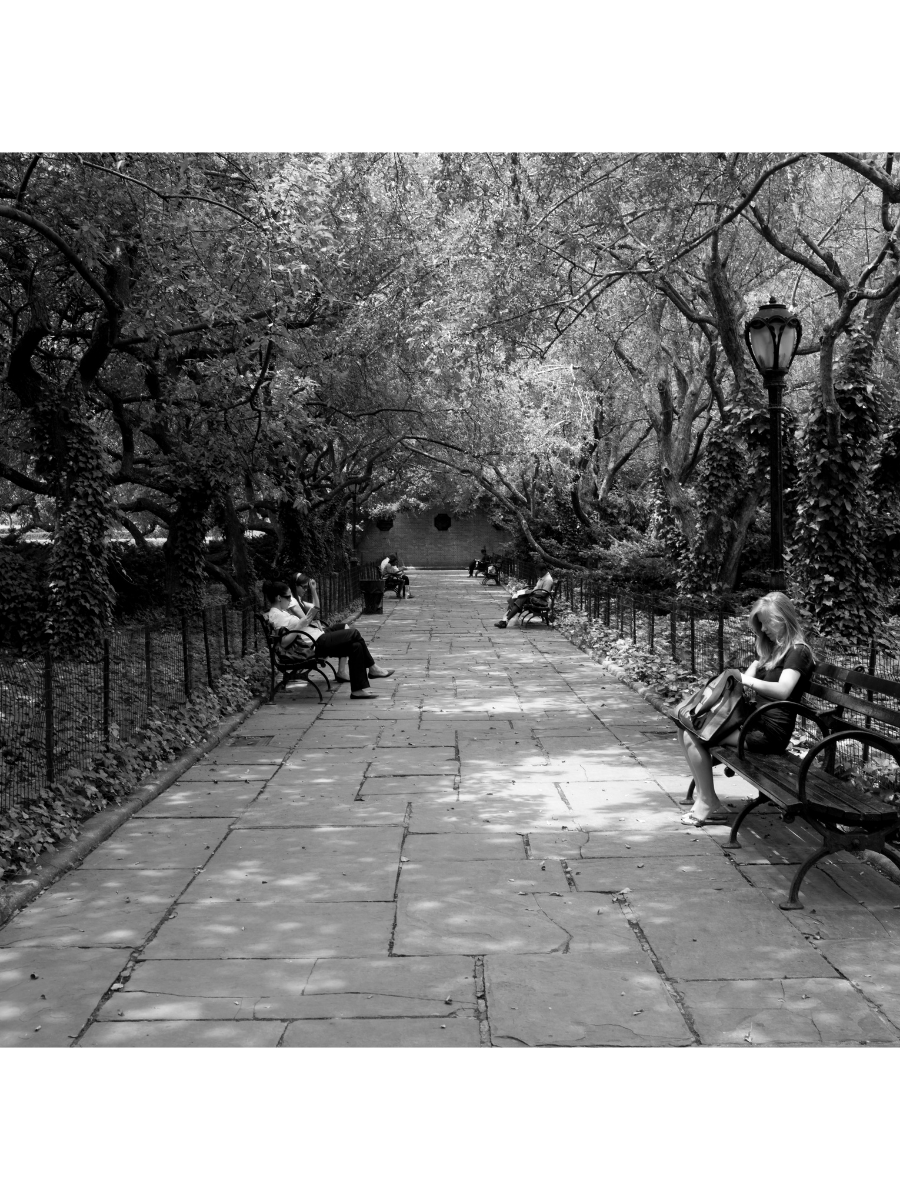 Jordan Craig, Central Park Benches-1