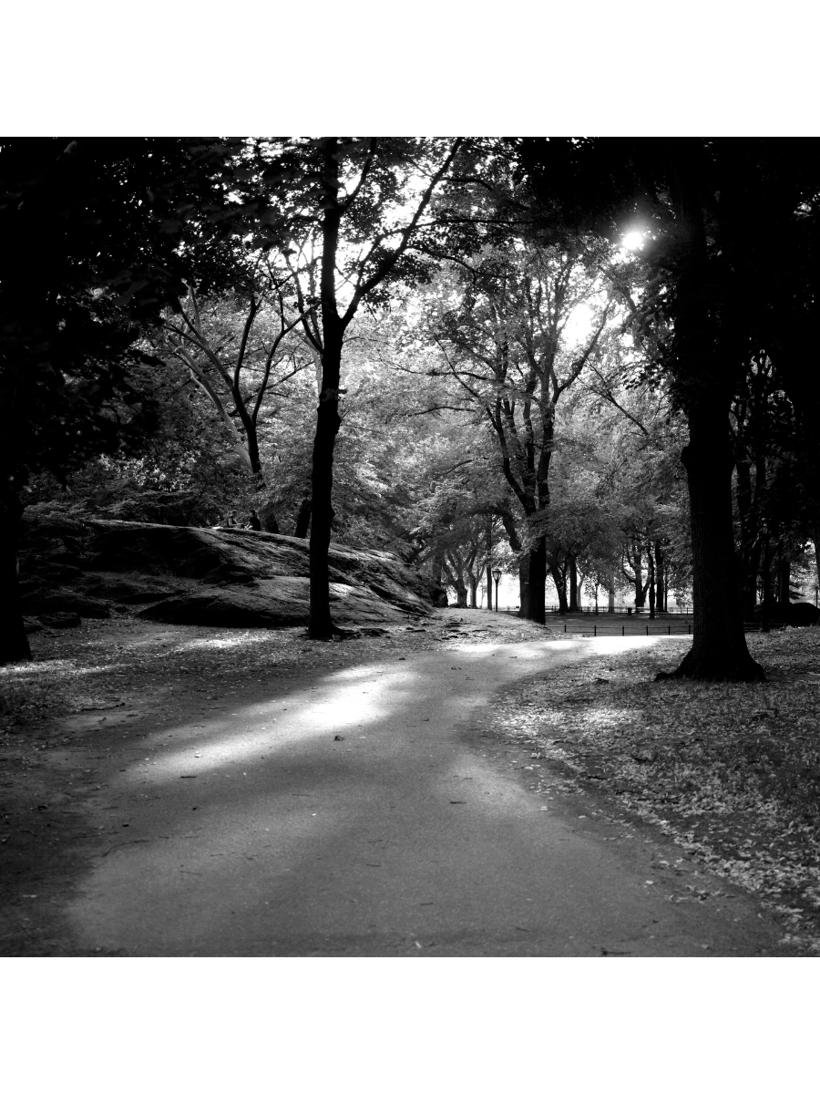 Jordan Craig, Central Park Dusk-1