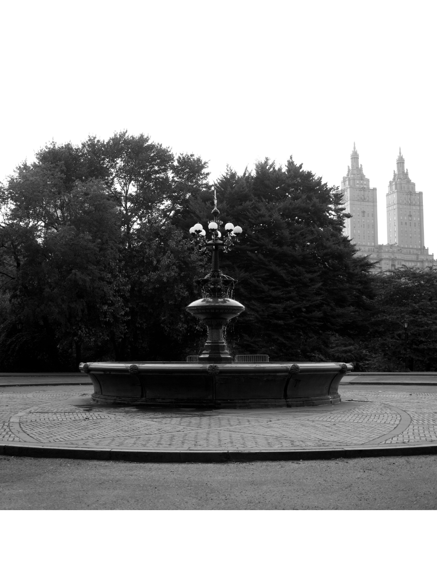 Jordan Craig, Central Park Fountain-1
