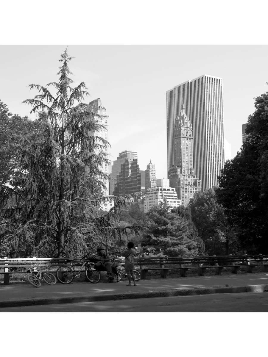 Jordan Craig, Family in Central Park-1