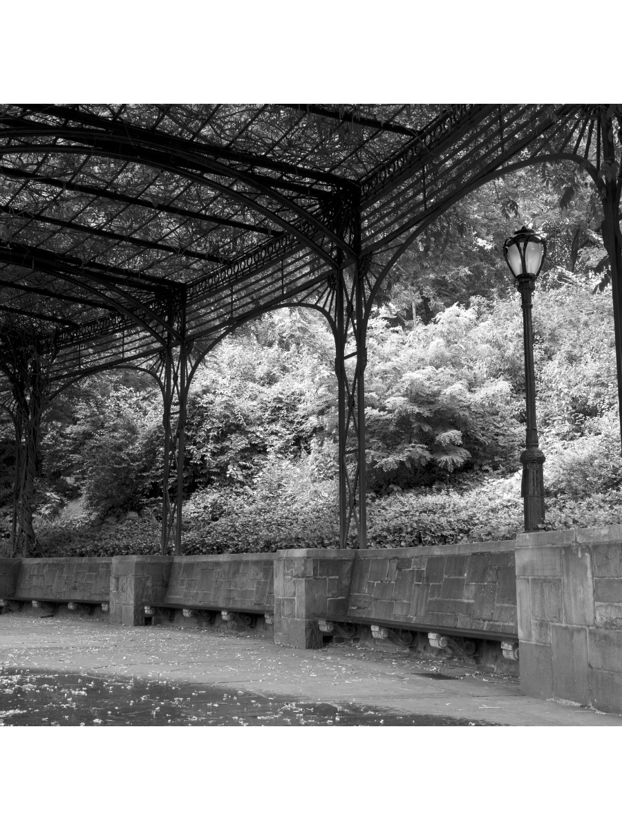 Jordan Craig, Garden Benches NYC-1