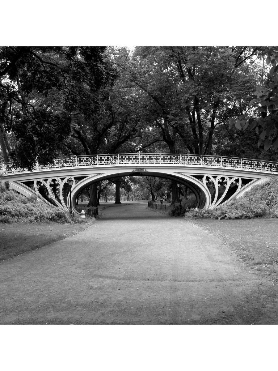 Jordan Craig, Gothic Bridge-1
