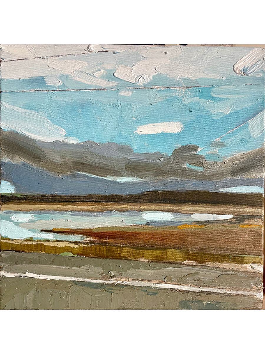 Stewart Jones, FLOODED FIELD (MORGAN ROAD)