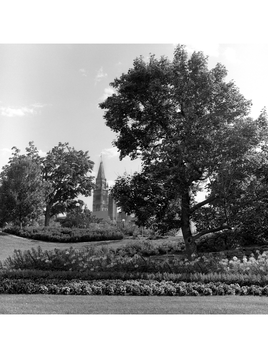 Jordan Craig, Peace Tower II-1